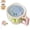 Blue, variant on 2 in 1 Fruit Strainer Container with Lid, 2026 New Portable Colander for Kitchen Fridge, Upgraded Kitchen Fruit Berry Drainer Basket for Berries, Grapes, Lettuce, Ideal for Picnics