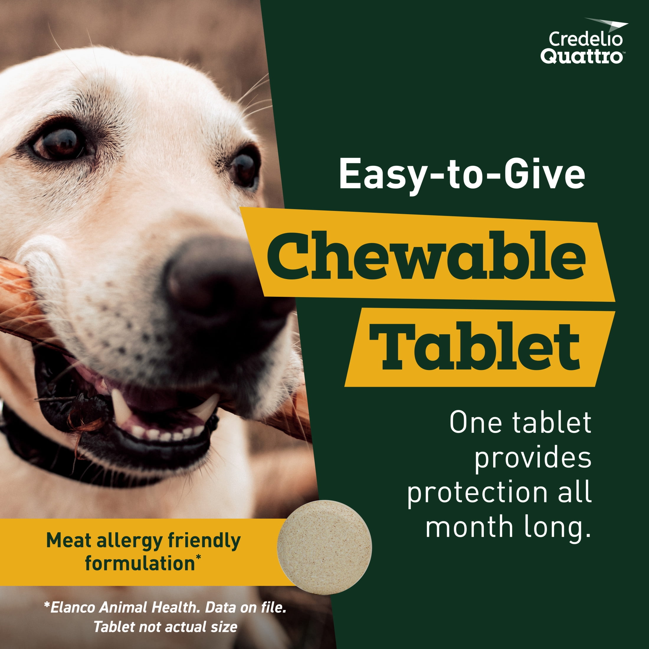 Credelio Quattro Chewable Tablets for Dogs 50.1-100 lbs, 6-in-1 Parasite Protection (6 Month Supply)