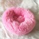 thumbnail image 3 of Queta Round Plush Cat Bed, Soft Pet Bed for Cats & Small Dogs, Light Pink (50cm), 3 of 5