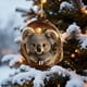 thumbnail image 1 of Adornos Navideños de Animales Acrílicos Planos con Diseño de Búho y Mapache, Impresos En 2D, Juego de 2 | Decoraciones Navideñas Duraderas con Cordón | Ideas para Árboles de Navidad, Coronas, Decorac, 1 of 6