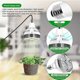 thumbnail image 5 of E27 Plant Lamp Light Bulb 35W LED Plant Grow Light Full Spect Warm White Light for Indoor Garden, 5 of 5