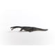 thumbnail image 3 of Juguete de dinosaurio Schleich Nothosaurus para niños mayores de 4 años, 3 of 7