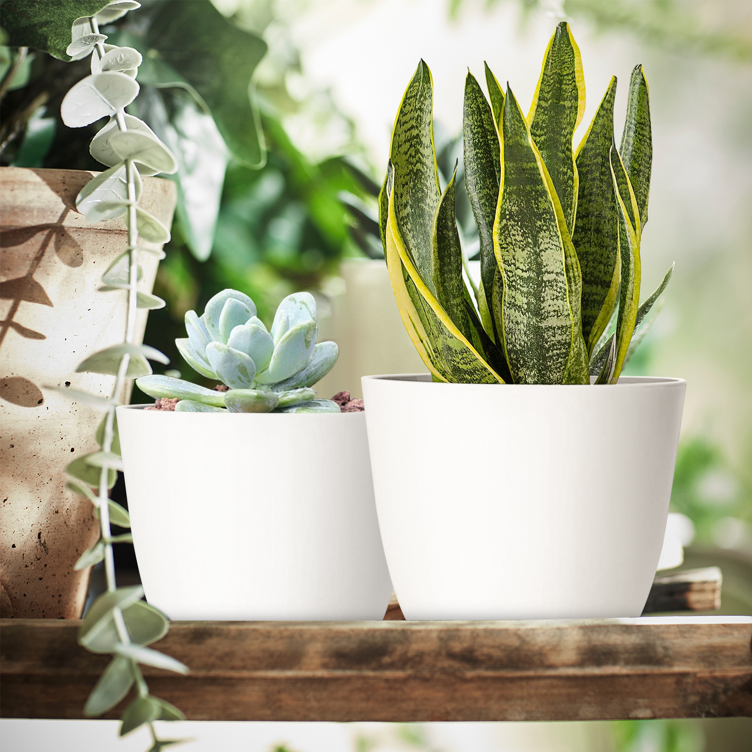 Foukus 5-Pack White Plastic Plant Pots with Drainage, White photo 6