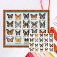 thumbnail image 1 of Hilo Algodón Ecológico Bordado Parcial Punto Cruz Mariposa 14 Quilates 56x44cm, 1 of 9