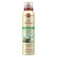 thumbnail image 2 of Old Spice Whole Body Deodorant for Men, Total Body Deodorant, Aloe + Rain, Aluminum Free Spray for 24/7 Freshness 3.5oz, 2 of 12