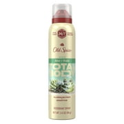 Old Spice Whole Body Deodorant for Men, Total Body Deodorant, Aloe + Rain, Aluminum Free Spray for 24/7 Freshness 3.5oz