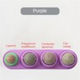 thumbnail image 1 of Catnip Wall Ball Cat Toys Pet Toys for Cats Clean Mouth Promote Digestion Kitten Candy Licking Snacks Mint Ball Cat Accessories ShopWise Round, 1 of 30