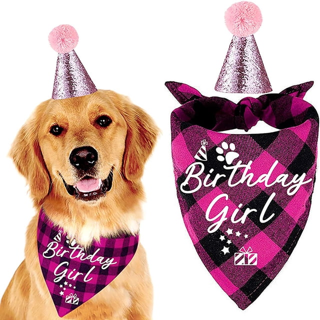 Pet Birthday Party Set Hat Triangle Scarf Female Dog Festival Decoration Props Cute Pink Set