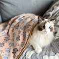 thumbnail image 2 of CNKOO 1 Pack 3 Puppy Blankets Super Soft Warm Sleep Mat Paw Print Blanket Fluffy Premium Fleece Pet Blanket Flannel Throw Dog Blankets for Small Dogs Puppy Cat, 2 of 7