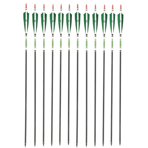 Antsir 12 pcs Carbon Shaft Arrows Spine 500 80cm With True Turkey Feather for Hunting