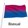thumbnail image 3 of Drapeau Arc-en-Ciel Fibre de Polyester Coloré Pliable Décoration Homosexuelle Réutilisable Drapeaux avec 2 Trous Bannières Accessoire Extérieur Bleu Violet Rouge Vin 90*150CM, 3 of 9