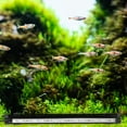 thumbnail image 5 of Unique Bargains 3W 14 Inch Aquarium LED Light Full Spectrum Fish Tank Light 15 Light Beads Colorful, 5 of 6