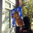 thumbnail image 2 of Carolines Treasures SS4669-FLAG-PARENT Chesapeake Bay Retriever Winter Snowflakes Holiday Flag  multicolor, 2 of 2
