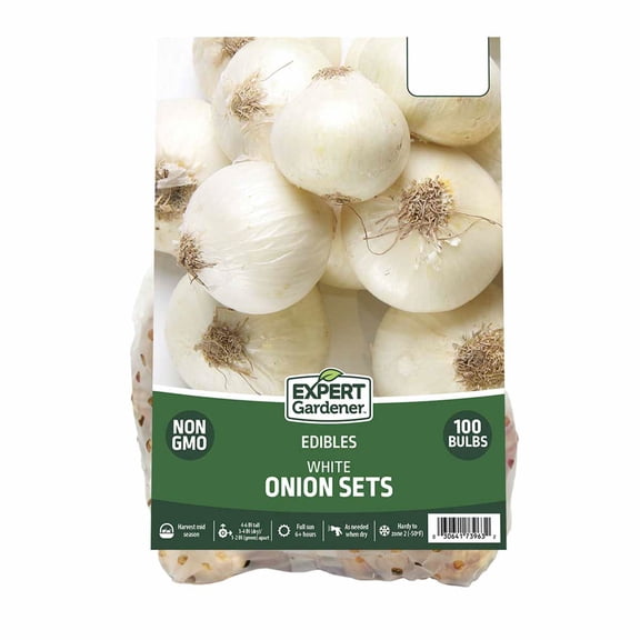 Expert Gardener Onion White Sets (Set of 100 Dormant Vegetable Bulbs) Full Sun, White, Annual