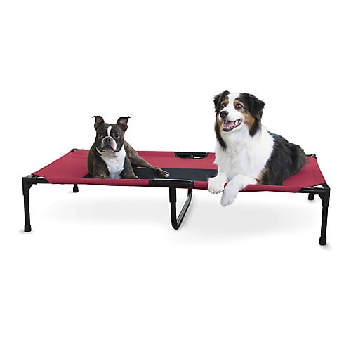 Creative Solutions Elevated Red Dog Bed Medium