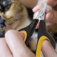 thumbnail image 4 of Pet Republique Professional Cat Nail Clippers - Claw Trimmer for Cat, Kitten, Puppy, Dog, Hamster, Small Breed Animals - Regular Grip, 4 of 7