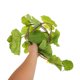 thumbnail image 5 of UPOUART Colgante De Vid Artificial Verde Para Festivales Y Eventos De, 5 of 7