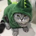 thumbnail image 2 of Ropa de invierno para Gato, divertido dinosaurio, cachorro, perro, gato, cálido abrigo polar de felpa, sudaderas con capucha, suéter, gatito M, 2 of 5