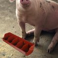 thumbnail image 4 of HEATSHAKING Farm Feeder Large Capacity Pig Trough for Farmers 1Pcs, 4 of 7