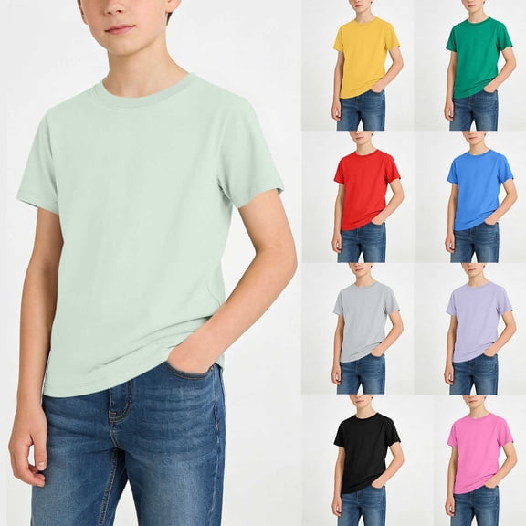 NAISIBABY Boys Short Sleeve T-Shirt (1-15T), Soft Comfortable Round Neck Cotton Kids Casual Basic Tees Mint Green 14T