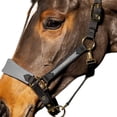 thumbnail image 3 of Whitaker Harewood Horse Halter, 3 of 4