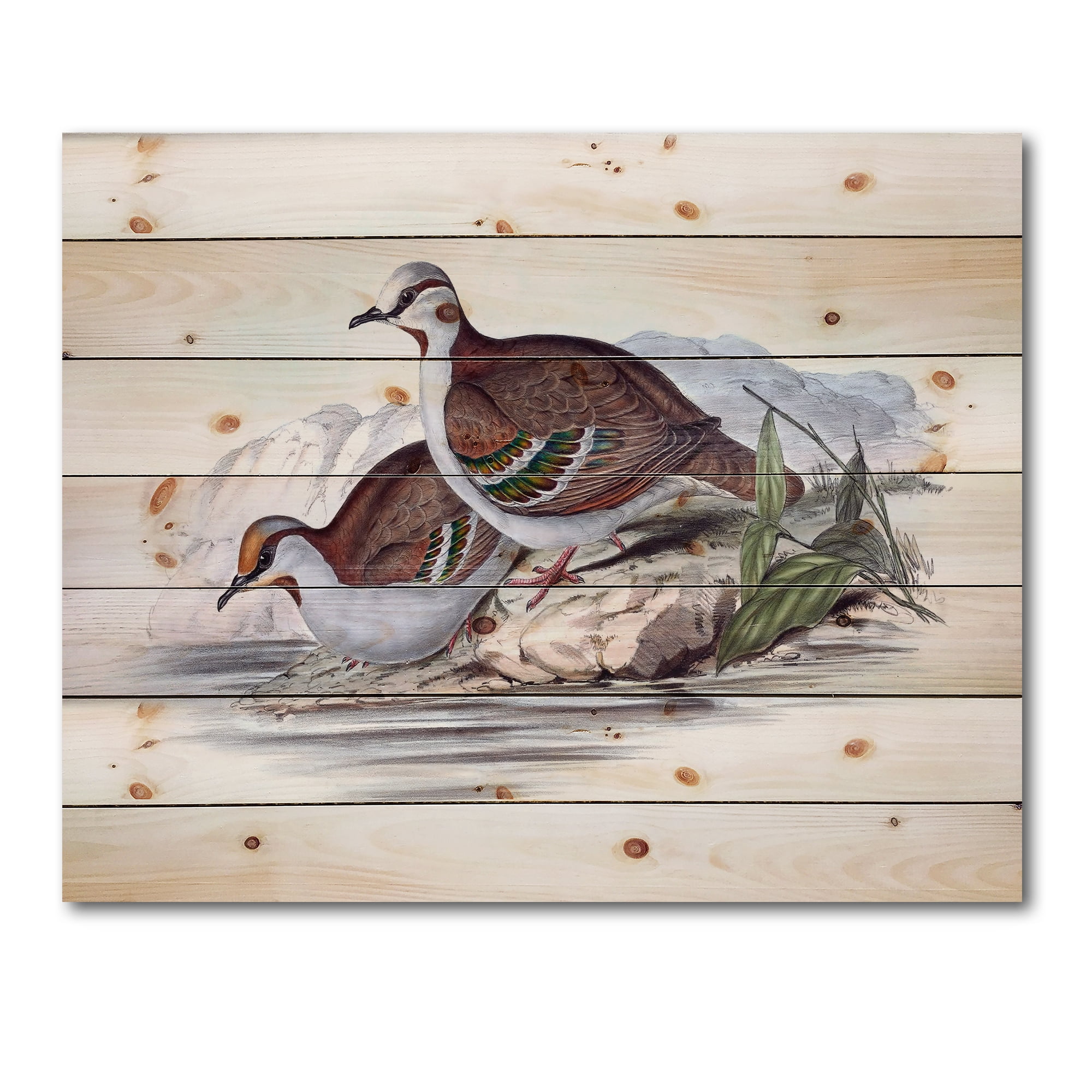 Designart 'Ancient Australian Birds IX' Traditional Print on Natural Pine Wood