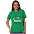 thumbnail image 3 of Florida Student Pride Gameday Cool Men's Graphic T Shirt Tees Brisco Brands S, 3 of 6