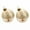 C, variant on Glass Christmas Tree Ball Ornaments, Set of 2 Gold Powder Holiday Hanging Decorations with Beads, Transparent Pendant for Home, Mall & Party Décor