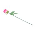 thumbnail image 5 of Way To Celebrate Valentine Red Single Rose, 5 of 5