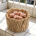 thumbnail image 4 of KALLORY Maceta Decorativa Para Suculentas Estilo Con Resina Resistente Color Beige, 4 of 7