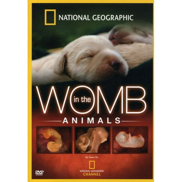 National Geographic: In The Womb - Animals (Widescreen) 