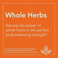 thumbnail image 4 of Supplement NOW Pau D'Arco Herbal Support 100 cápsulas vegetarianas, 4 of 4