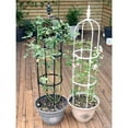 thumbnail image 5 of Tower Obelisk Garden Trellis U-Shaped Plant Stand Flower Climbing Frame Rust-resistant Stainless Steel Flower Support, 5 of 19