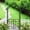 Black 421, variant on Cream White Metal Garden Arch for Climbing Plants, 74.4L x 15.35W x 98.43H Inch Outdoor Arbor Trellis for Roses, Ivy, Wedding Decor