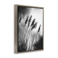 thumbnail image 4 of Stupell Industries Stark Contrast Wheat Landscape & Nature Photography Brown Floater Framed Canvas Art Print Wall Art, 17 x 21, 4 of 10
