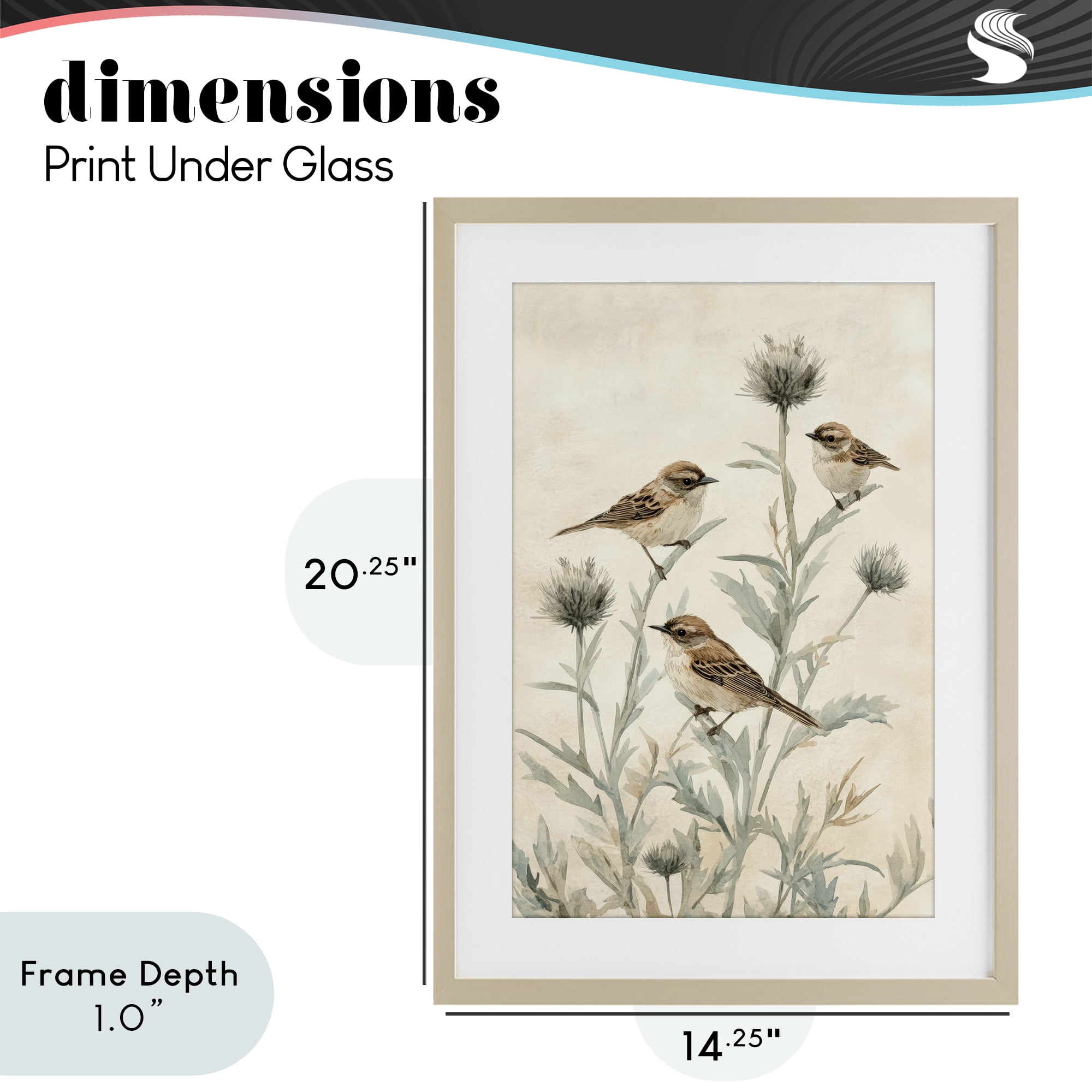 Stupell Industries Sparrows on Thistle Stems Birch Framed Print Under Glass, design by Petal Prints Design