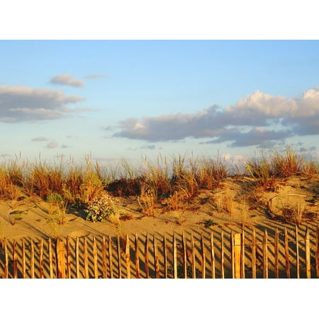 Canvas Print Sand Dune Beach Atlantic Coast Stretched Canvas 10 x (Best Beaches On Atlantic Coast)