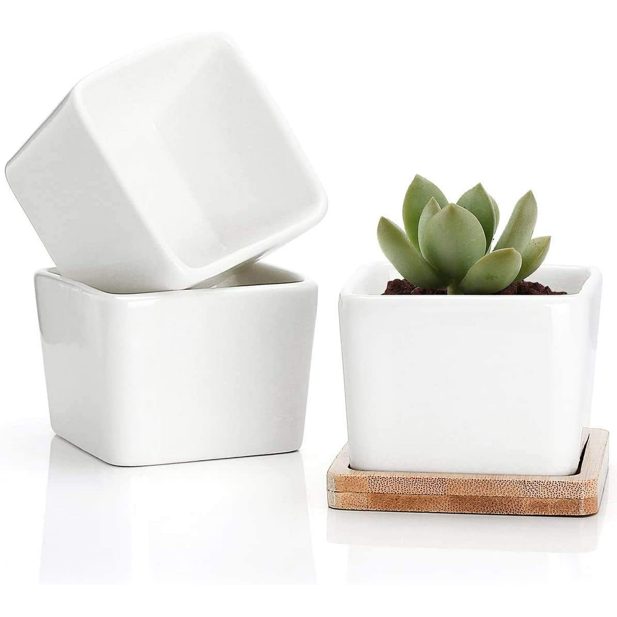 Succulent Plant Pots 2 56 Inch Mini Succulent Pot White Ceramic Small Square Plant Pot Cactus Planter Pots With Bamboo Tray For Office Home Kitchen Desktop Garden Decor Plants Not Included Walmart Canada