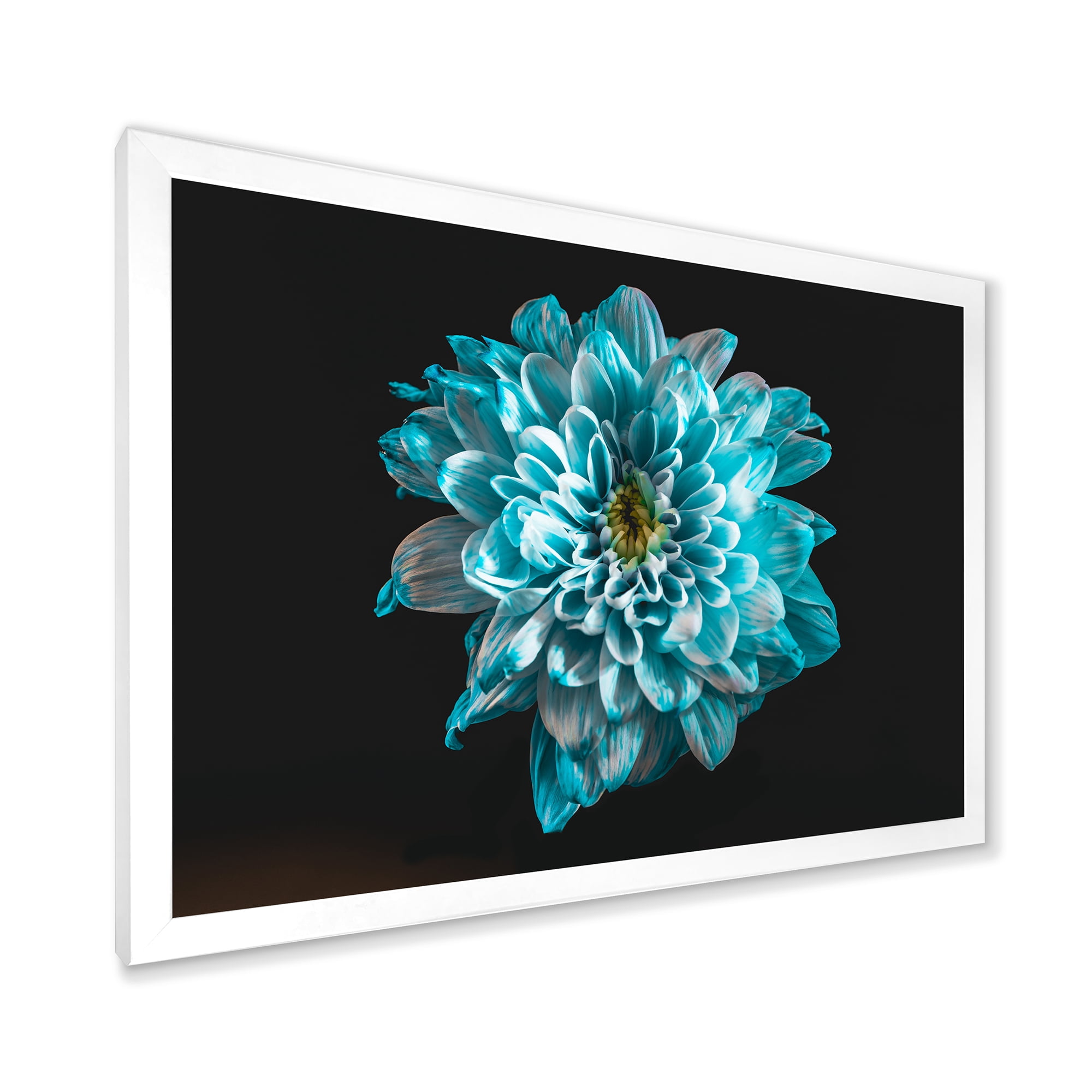 Designart 'Close Up Of Flower With White and Blue Petals' Traditional Framed Art Print