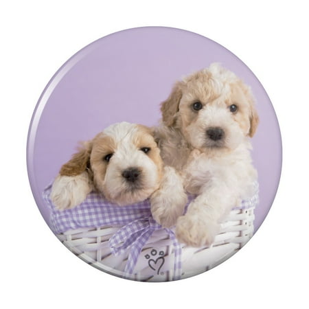 Spoodle Cockapoo Puppies Dogs Wicker Basket Kitchen Refrigerator Locker Button Magnet