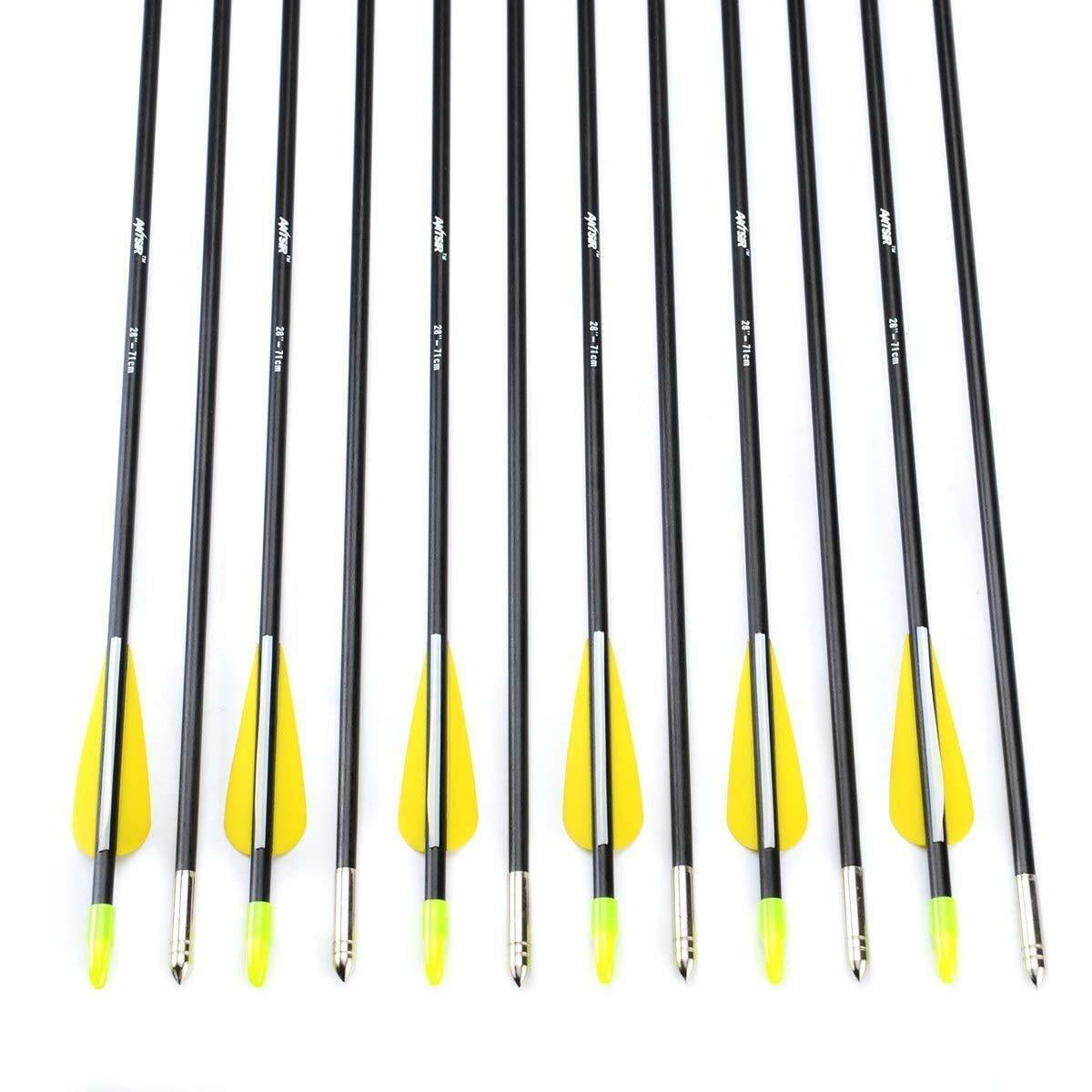 6/12x 28" Archery Fiberglass Arrows with 3"Vanes for Hunting Targeting Practice 