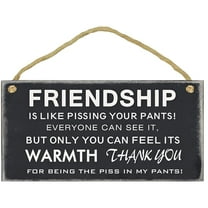 True Friendship Sign-Funny Signs Gift for Best Friends,Friendship Is Like,Home Room Plaque Rustic Wood Hanging Plaque 5x10 Wall Art Decoration (Friendship)