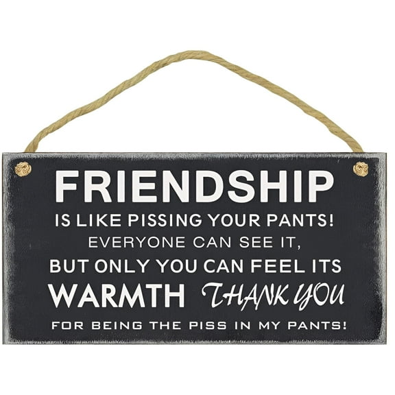 True Friendship Sign-Funny Signs Gift for Best Friends,Friendship Is Like,Home Room Plaque Rustic Wood Hanging Plaque 5x10 Wall Art Decoration (Friendship)