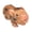 A, variant on D Lifelike Soft Silicone Mini Pig Doll 5 Inch Realistic Newborn Animal Toy For Kids