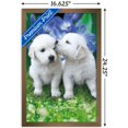 thumbnail image 3 of Keith Kimberlin - White Golden Retriever Puppies Wall Poster, 14.725" x 22.375", Framed, 3 of 3