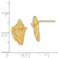 thumbnail image 3 of Auriga Fine Jewelry 14K Yellow Gold 2-D Conch Shell Stud Earrings for Women (L-15.45mm, W-10mm), 3 of 5