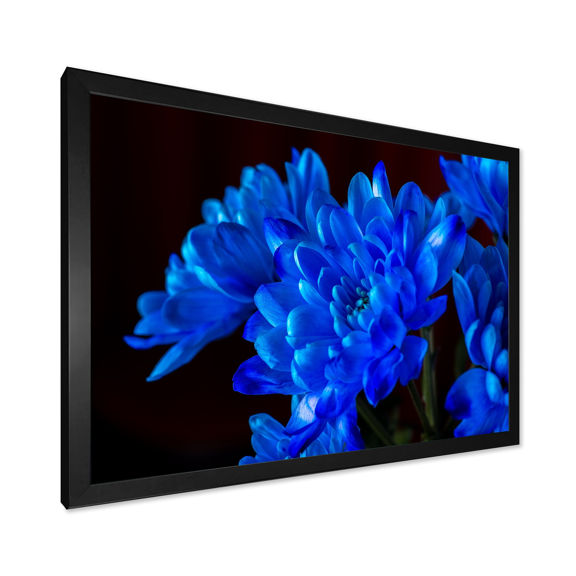 Designart 'Blue Chrysanthemum Flowers On Black Backround' Traditional Framed Art Print