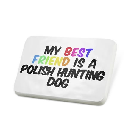 Porcelein Pin My best Friend a Polish Hunting Dog from Poland Lapel Badge –
