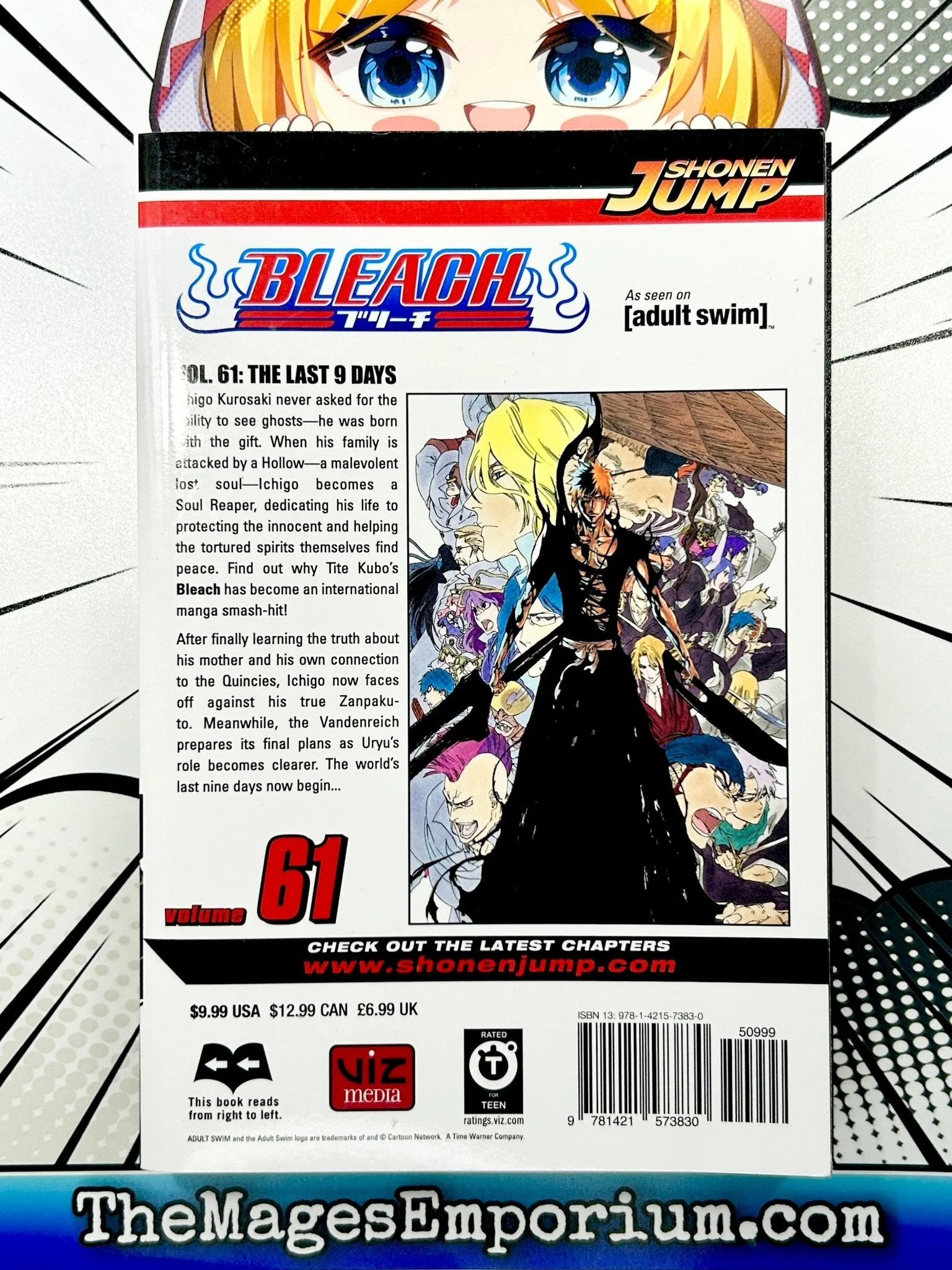 Bleach Bleach, Vol. 61, Book 61, (Paperback) - Walmart.com