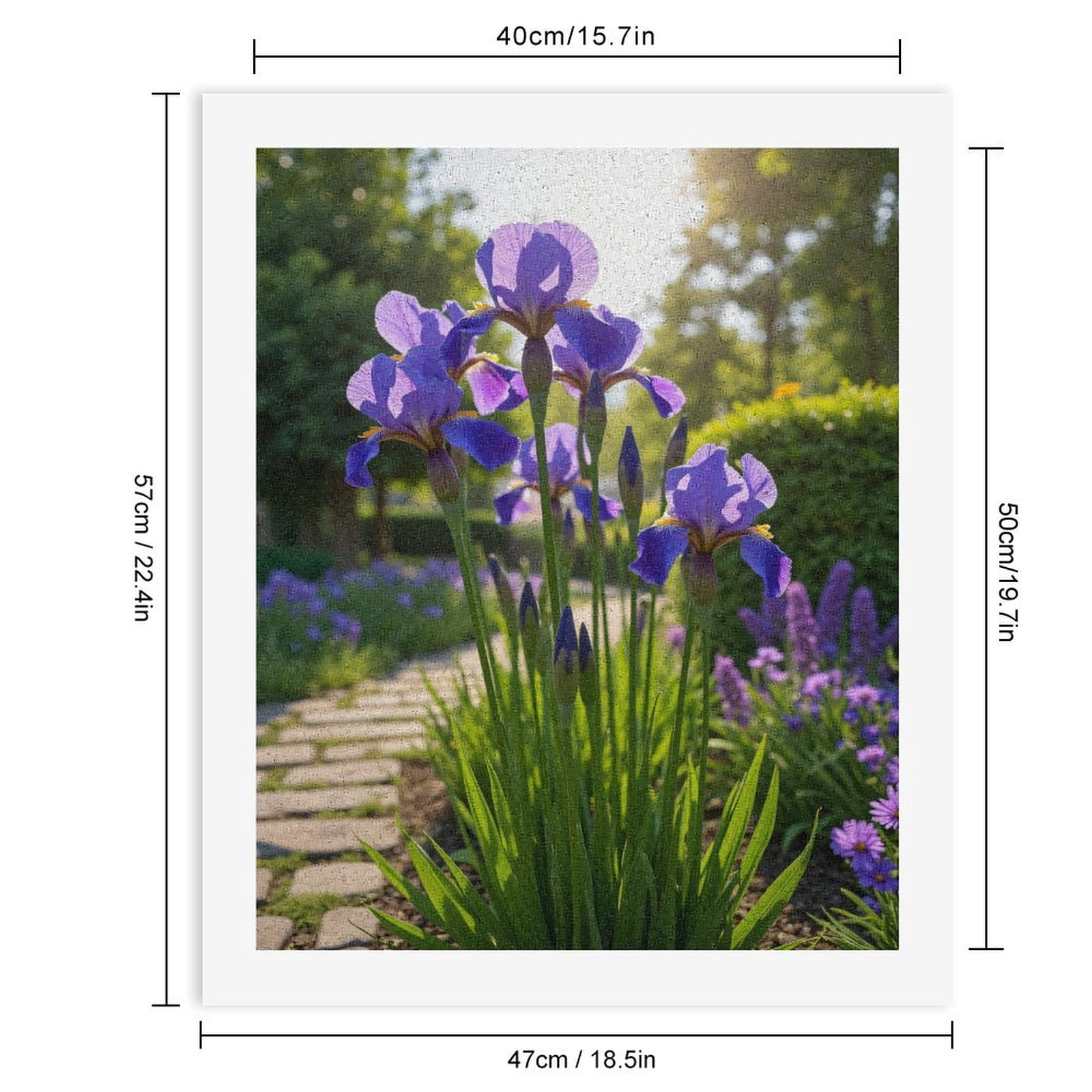 Paint by Numbers Kit for Adults, Blooming Purple Iris Garden Path Paint by Numbers, Easy Paint by Numbers Kit for Adults Beginner, DIY Adult Paint by Number Kits on Canvas, 12x16in Home Decor